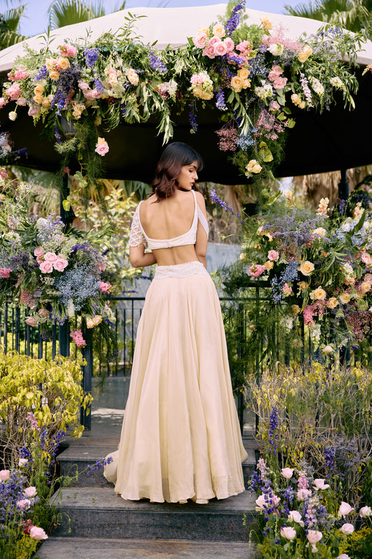Daisy